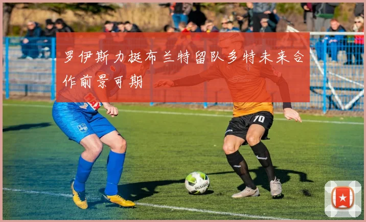 罗伊斯力挺布兰特留队多特未来合作前景可期