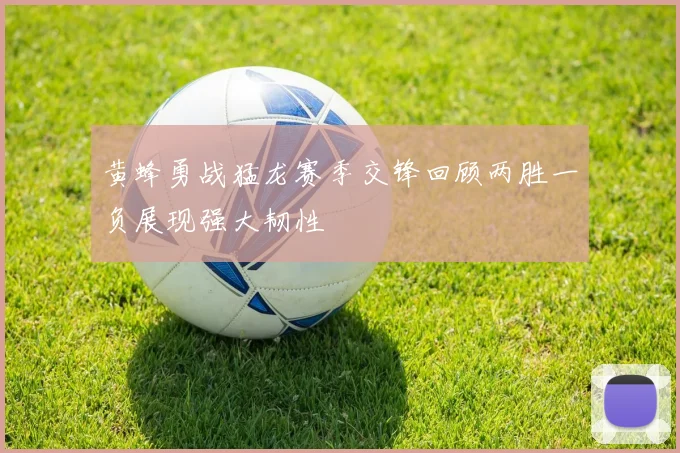 黄蜂勇战猛龙赛季交锋回顾两胜一负展现强大韧性