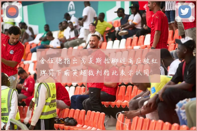 舍伍德指出戈麦斯抬脚过高应被红牌罚下前英超裁判对此表示认同