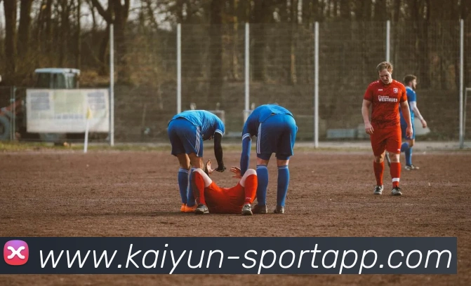 开云足球平台生态图