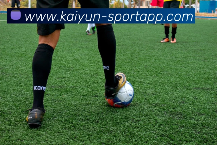 开云足球APP 封面图